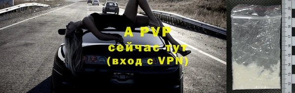 бошки Белокуриха