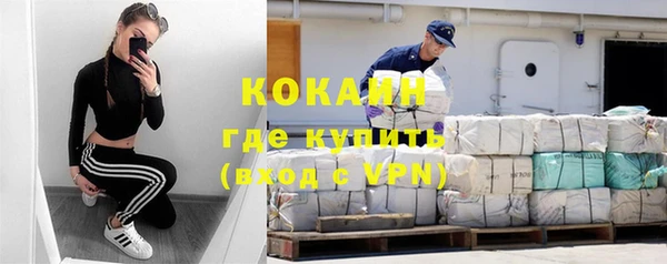бошки Белокуриха