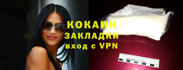 бошки Белокуриха
