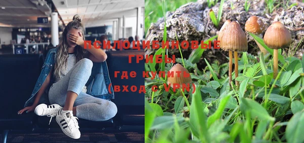 спиды Богданович