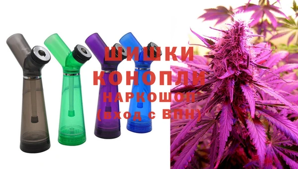 бошки Белокуриха
