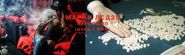 спиды Богданович