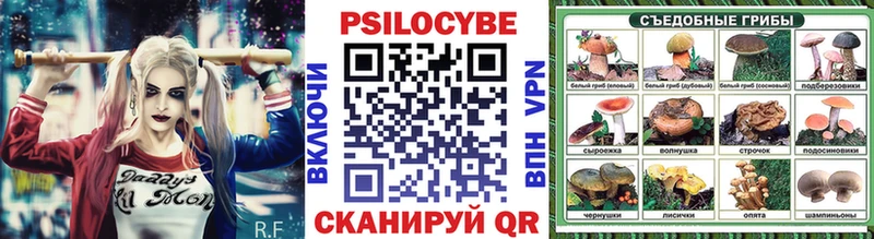 Галлюциногенные грибы Cubensis  дарк нет формула  Нерехта  omg  